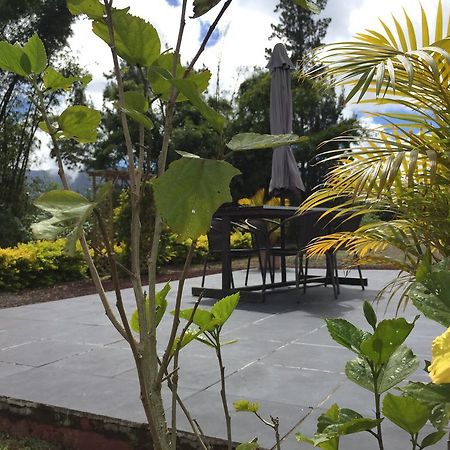 Meuble De Tourisme "Au Bord De La Mare" Villa Salazie Dış mekan fotoğraf